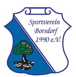 Sportverein Borsdorf 1990 e. V.